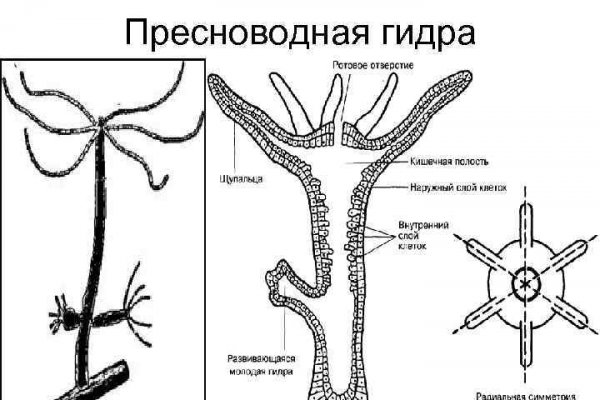 Кракен пользователь не найден что