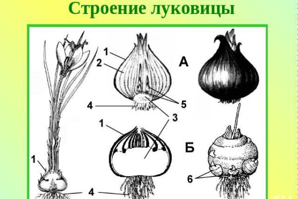 Актуальный сайт кракена